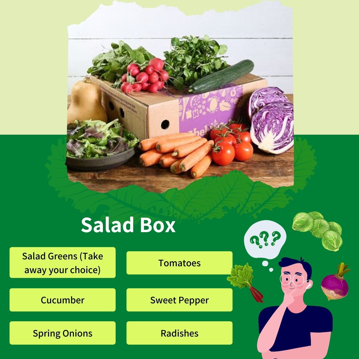 Salad Box