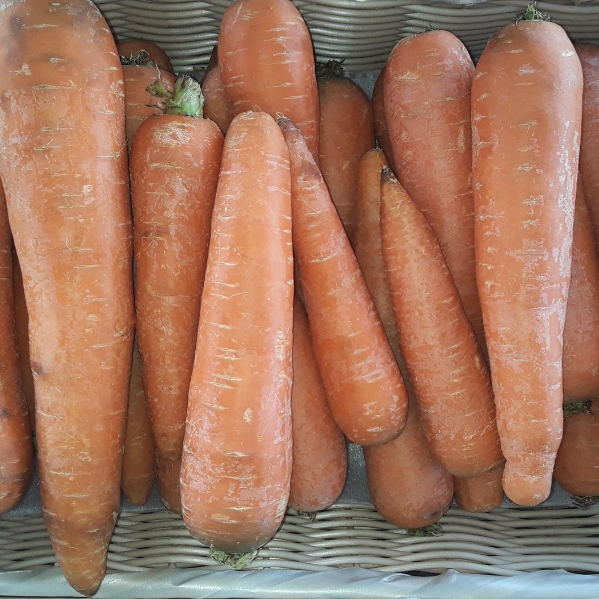 Carrots | A Nutritious Addition to Your Plate