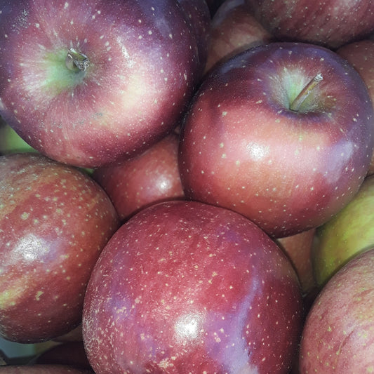 Apples | Delightfully Rich, Sweet and Honey Like Flavor