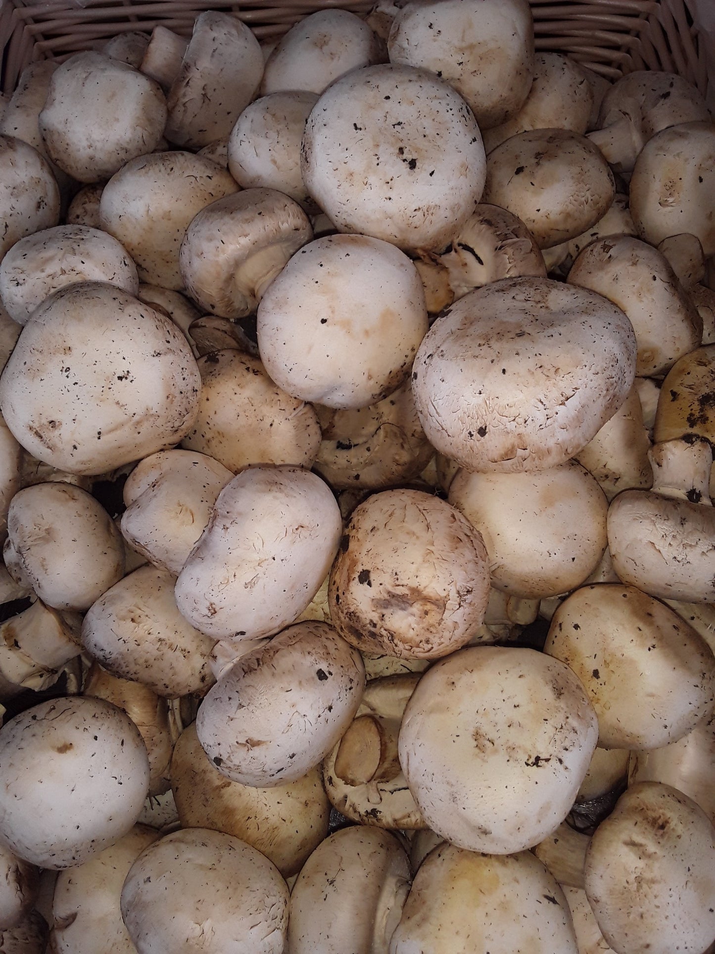 Gold Potatoes