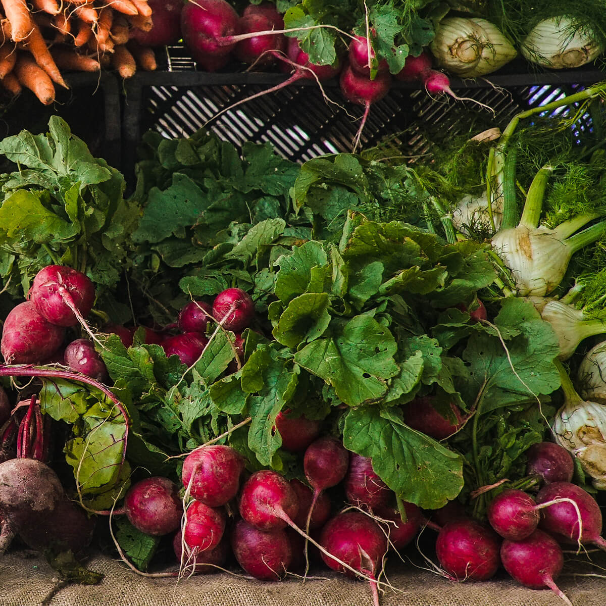 Affordable Loose Radish