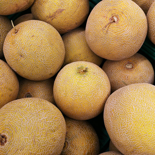 Nutritious Cantaloupe