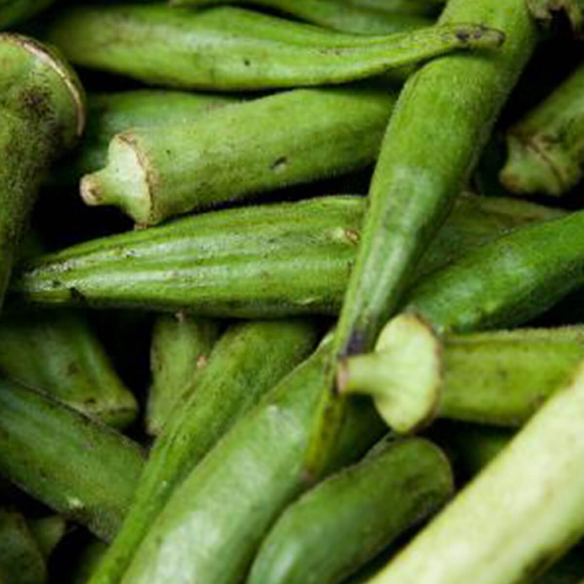 Nutritious Okra