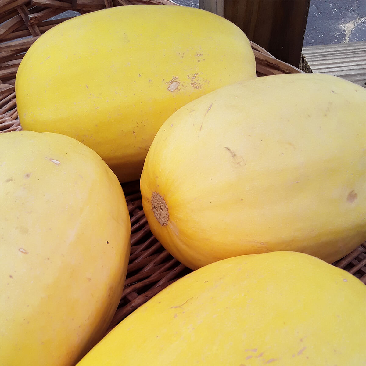 Winter Fruit Spaghetti Squash