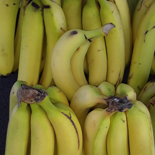 Bananas | Nature's Portable Powerhouse