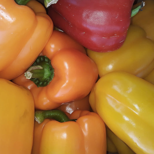 Peppers | An Extremely Versatile and Tasty Pepper