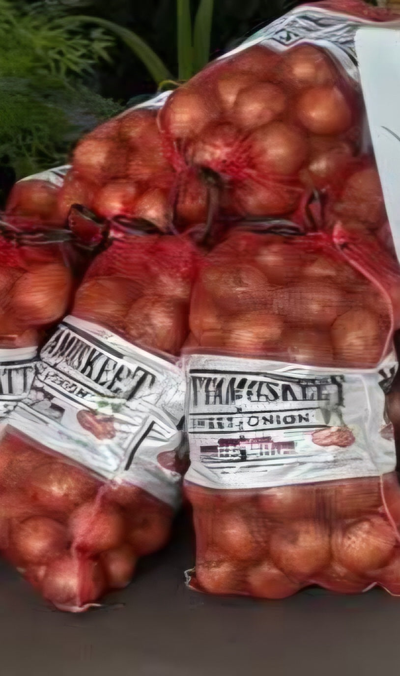 Mattamuskeet Sweet Onions (PICKUP ONLY)