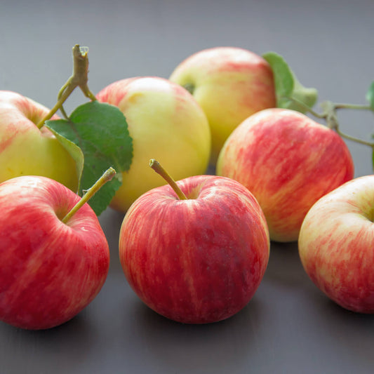 Apples | Delightfully Rich, Sweet and Honey Like Flavor