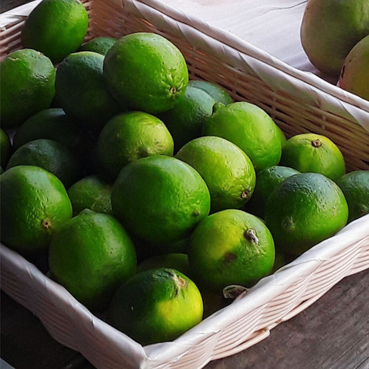 Limes | Citrusy Freshness Packed with Vitamin C