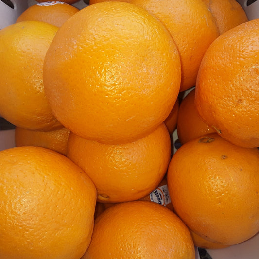 Navel Oranges | Sweet, Juicy, & Nutrient-Packed Citrus