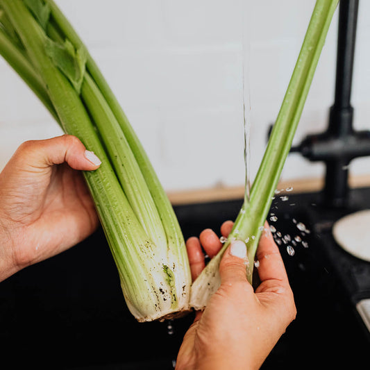 Celery