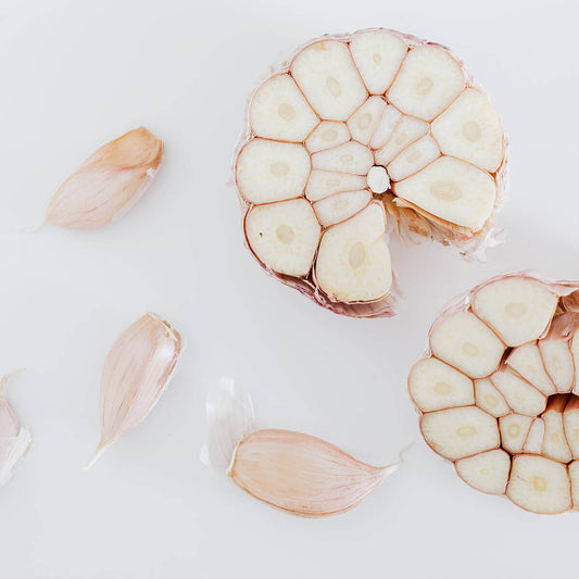 Garlic