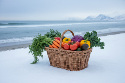 vegetable shopping basket on a snowy beach