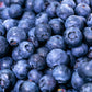 Affordable Blueberries