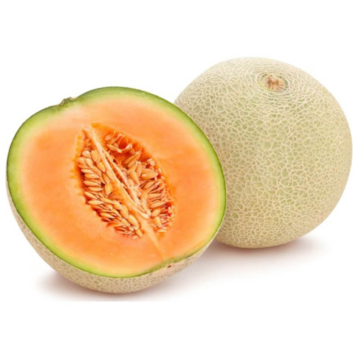 Affordable Cantaloupe
