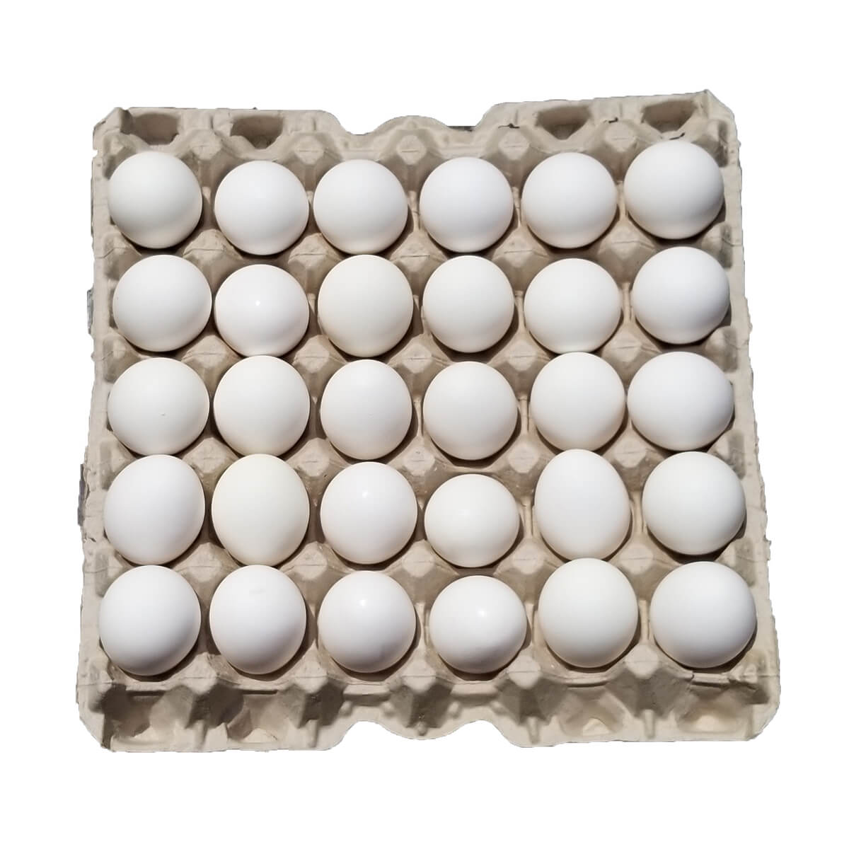 Affordable Eggs
