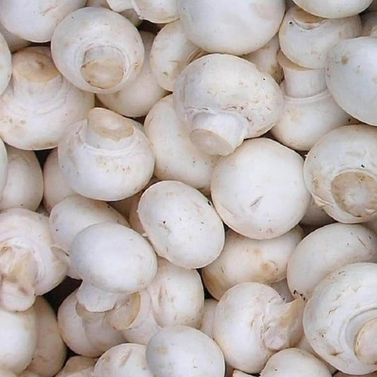Crunchy White Mushrooms