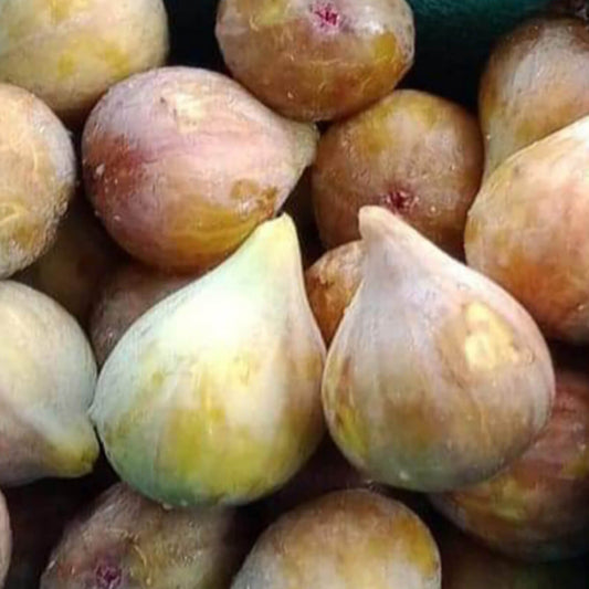 Delicious Figs