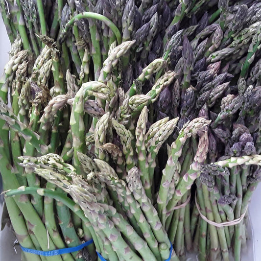 Healthy Asparagus