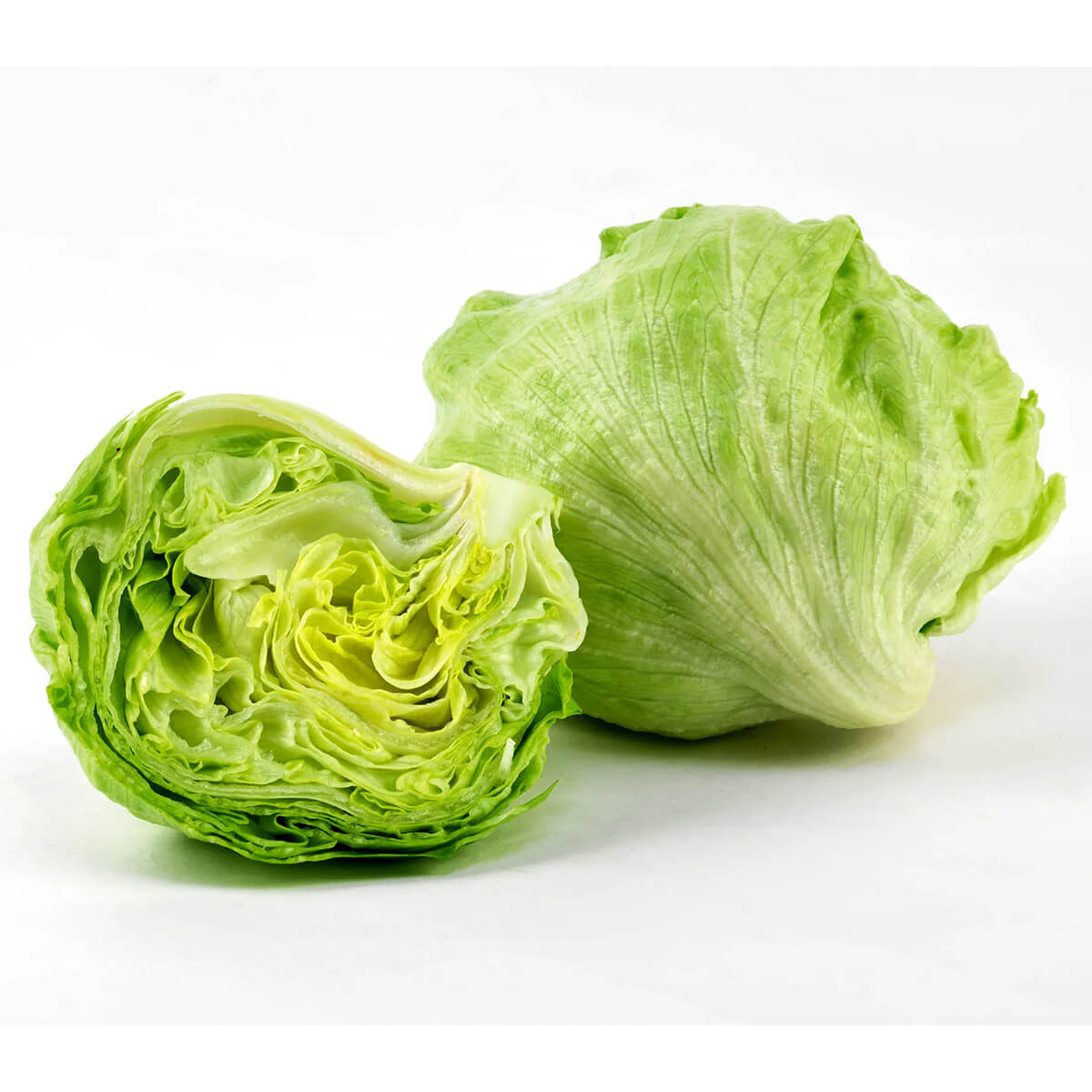 Healthy Iceberg Lettuce