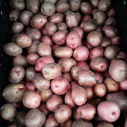 Potatoes red, small | Thin, Subtly Colorful Perfect Side Dish