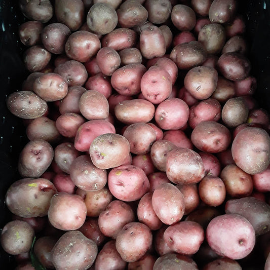 Red Potatoes | Thin, Subtly Colorful Perfect Side Dish