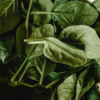Healthy Spinach