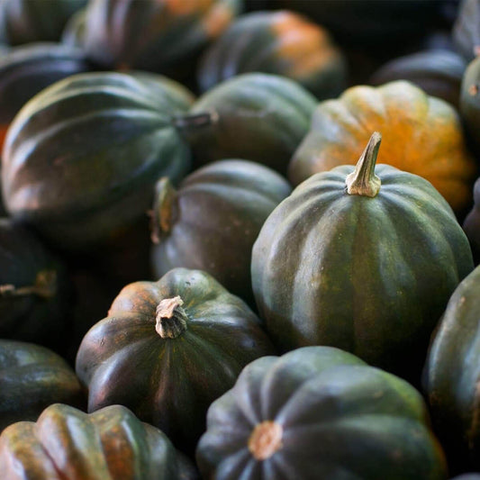 Nutritious Acorn Squash