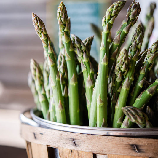 Nutritious Asparagus