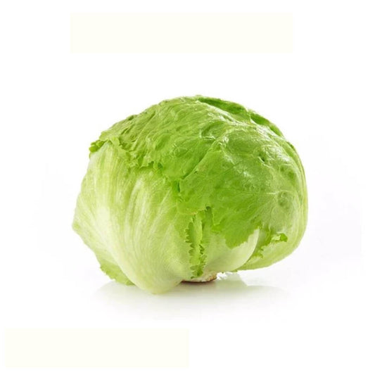 Nutritious Iceberg Lettuce