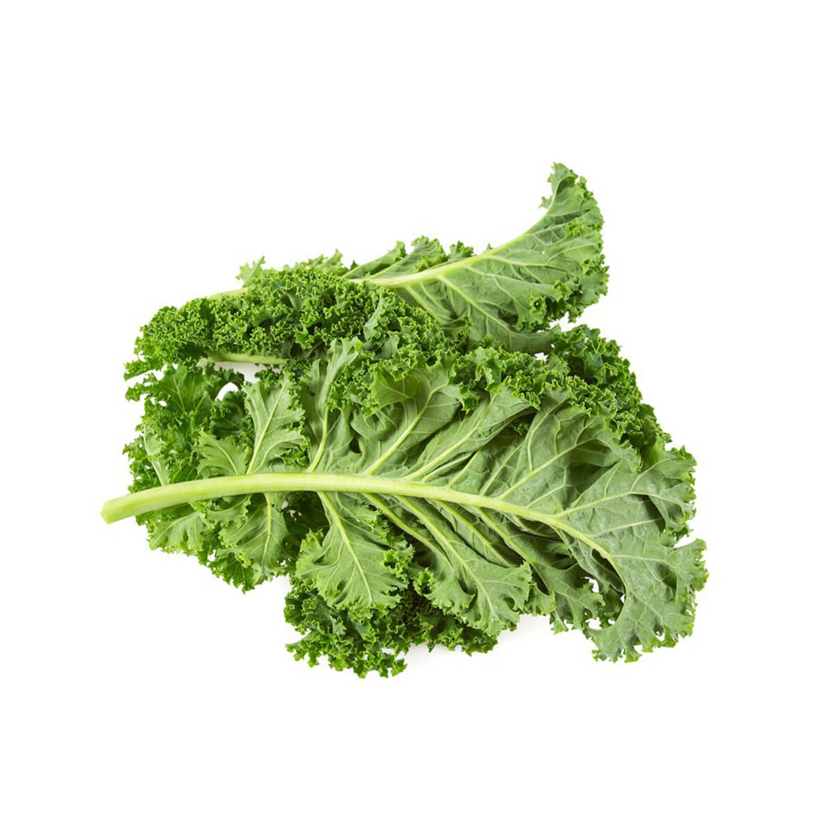 Nutritious Kale Lettuce