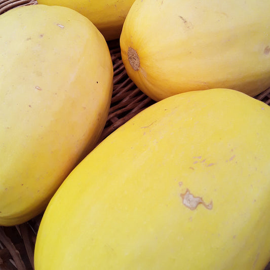 Nutritious Spaghetti Squash