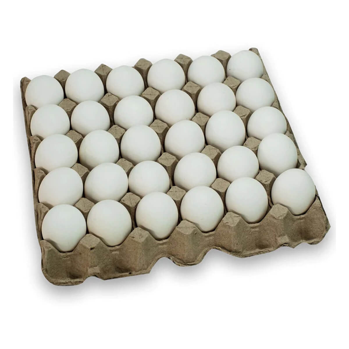 Protein Rich Eggs