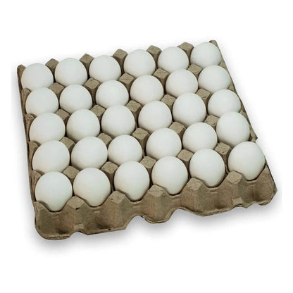 Protein Rich Eggs