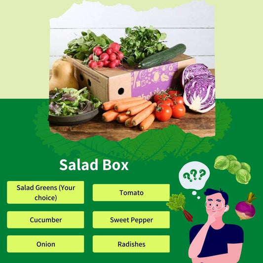 Salad Box | Healthy Snacking Made Easy
