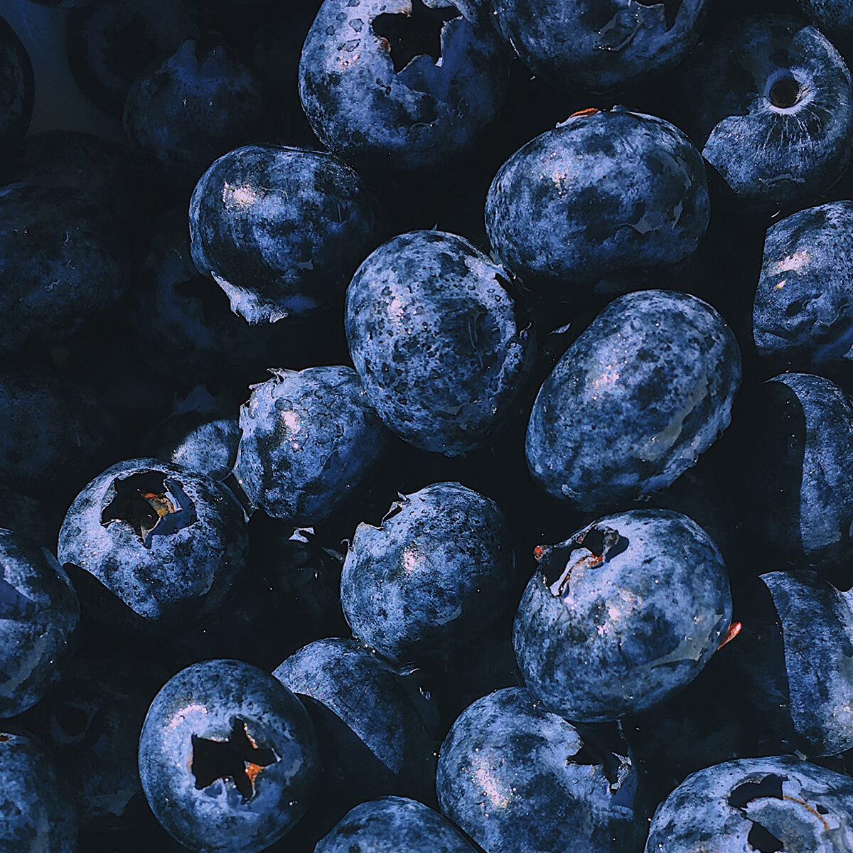 Sweet Blueberries