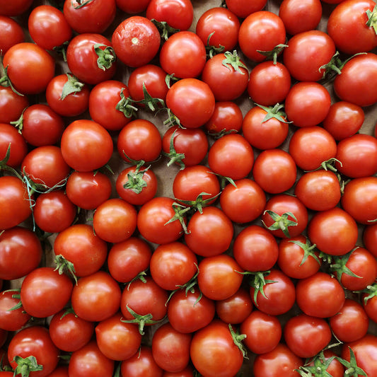 Sweet Campari Tomatoes