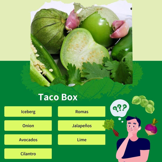 Taco Box | Your Go-To Healthier Snack
