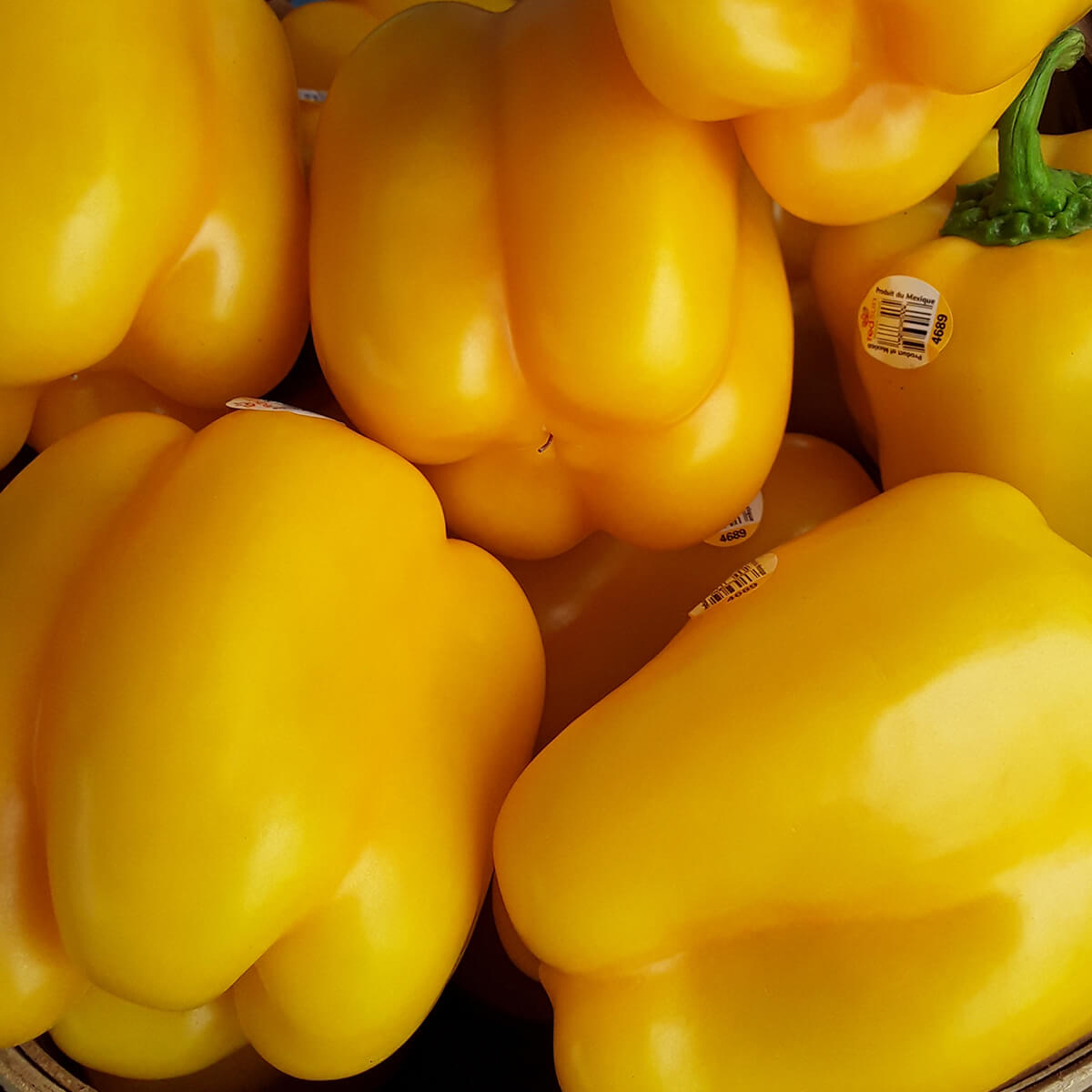 Tasty Yellow Bell Peppers