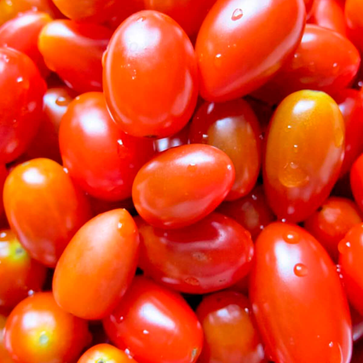 Watery Grape Tomatoes